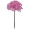 LGBT Carnation Picks: Set of 100, 3.5&#x22; Wide, Silk Flowers by Floral Home&#xAE;